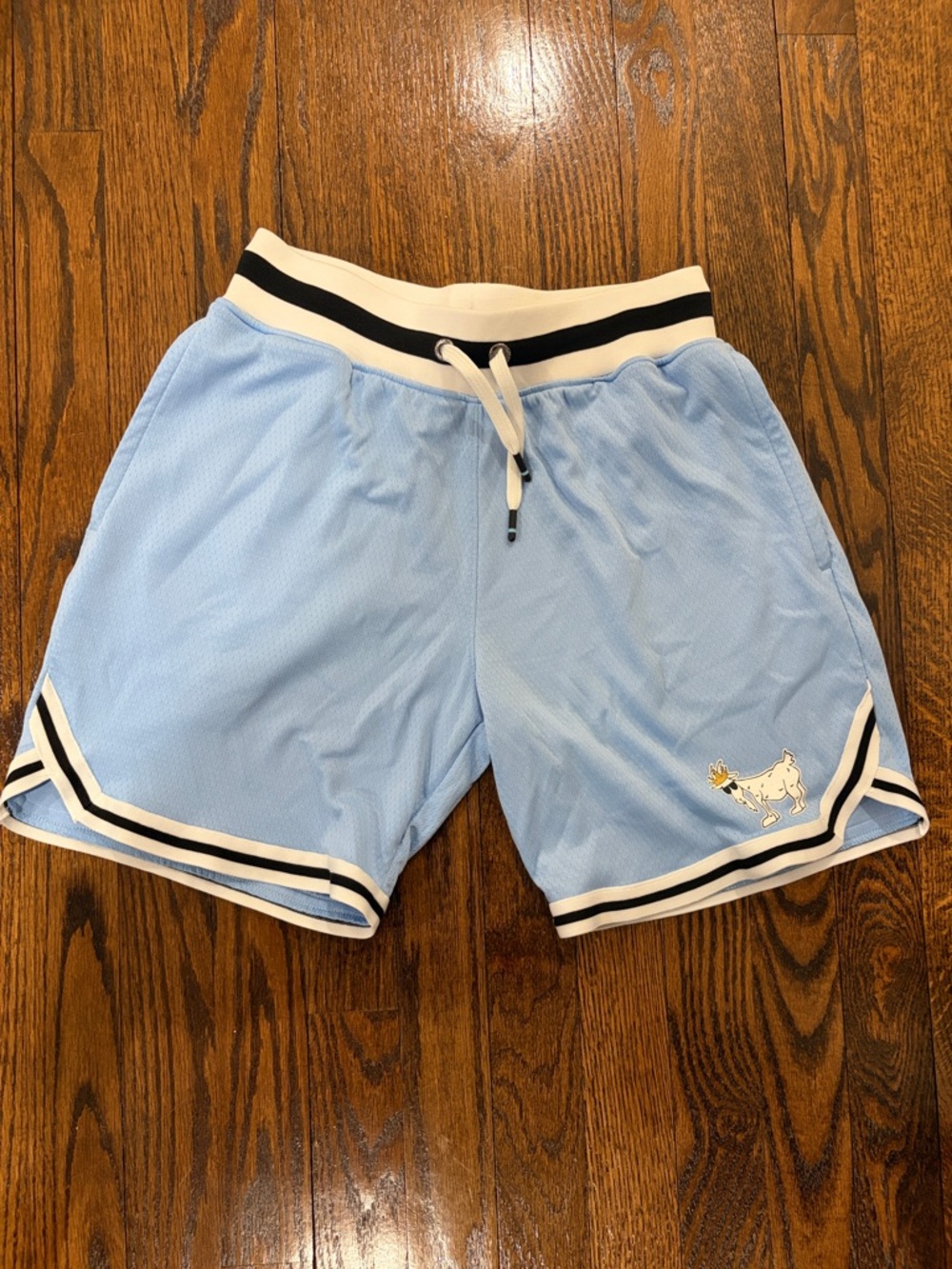 GOAT USA Kids Mesh shorts in size XL